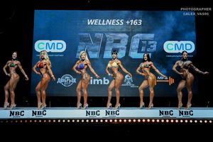 WELLNESS +163